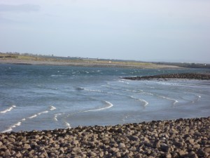 Shoreline near New Quay
