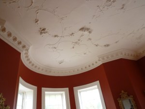 Stucco Ceiling, Belvedere House