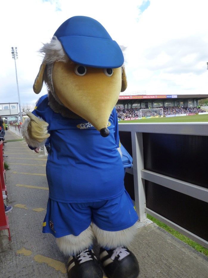 Mascot Haydon the Womble