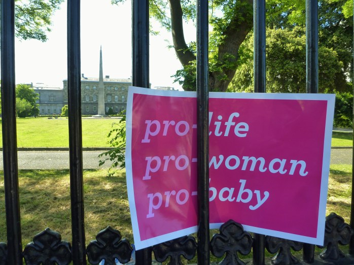 Message from rally to Leinster House legislators