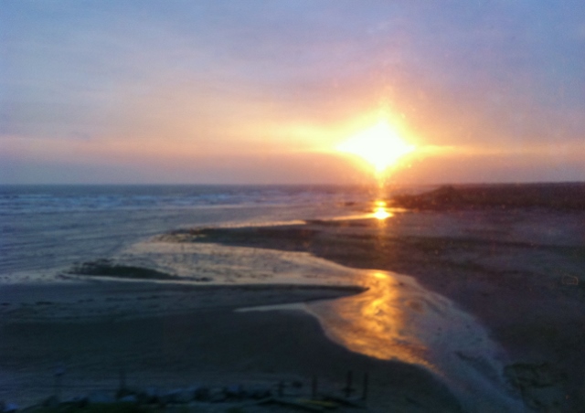 View of beach near Gormanston Co.Meath from train window Photo: © Michael Fisher