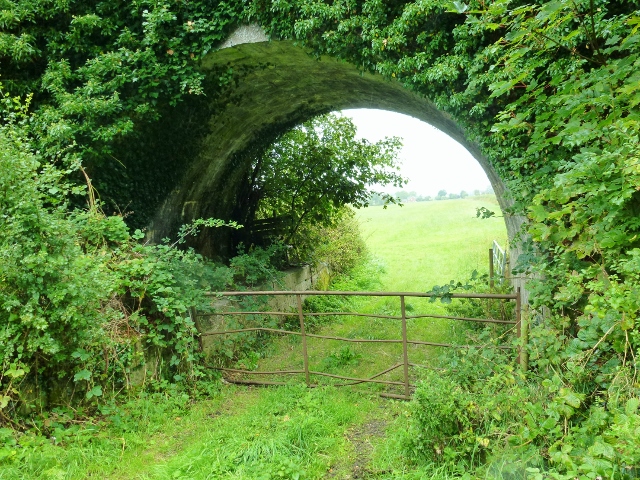 Old Bridge over Ulster Canal near Clones, Co.Monaghan Photo: ©  Michael Fisher