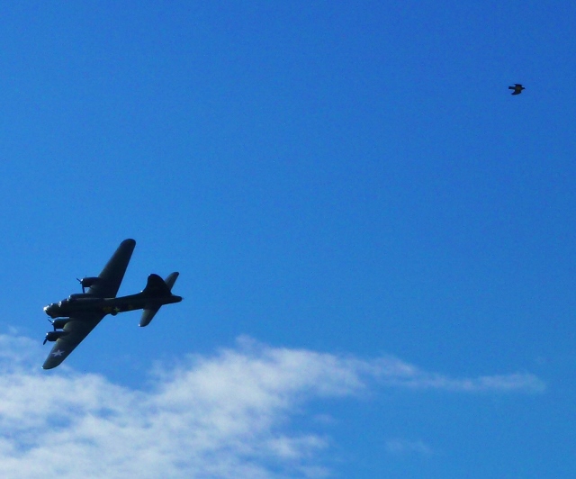 Birds of a feather... Photo: © Michael Fisher