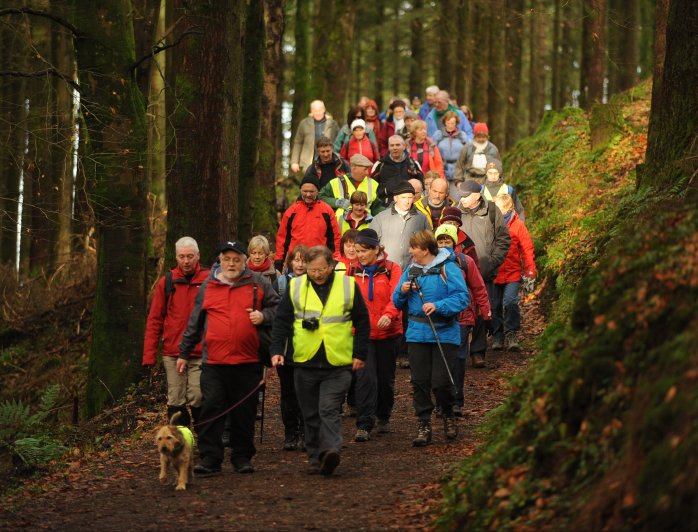 Knockmany Walk December 2012 Photo: © Michael Cullen 