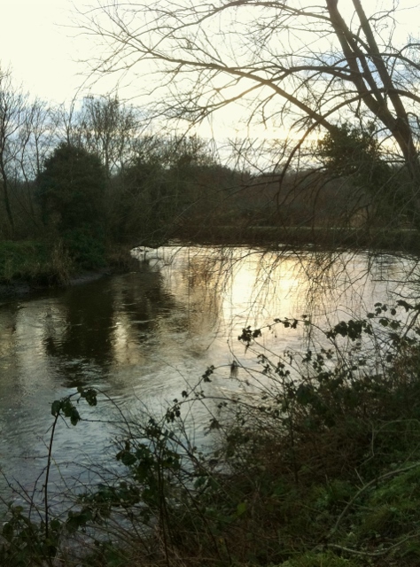 River Lagan near Stranmillis  Photo: © Michael Fisher