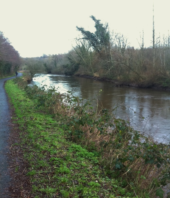 River Lagan near Stranmillis  Photo: © Michael Fisher