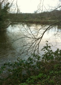 River Lagan near Stranmillis  Photo: © Michael Fisher