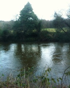 River Lagan near Stranmillis  Photo: © Michael Fisher