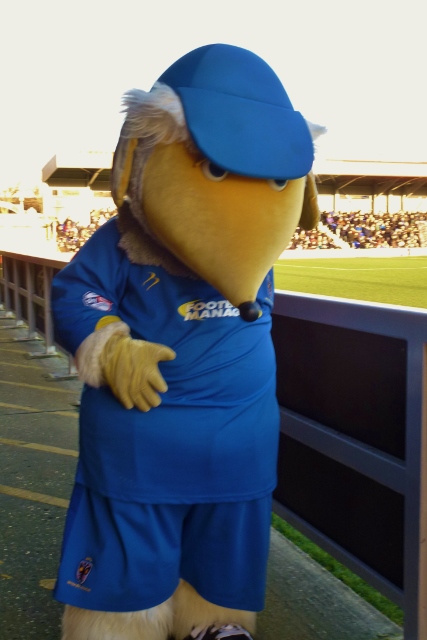 AFC Wimbledon mascot Haydon the Womble  Photo: © Michael Fisher