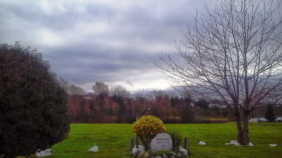 Riverside Cottages ... a semi-rural setting in the heart of suburban south Dublin (Photograph: © Patrick Comerford, 2014)