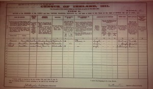 1911 Census Ballinode: Hamilton household