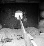 Trench display Cavan County Museum, Ballyjamesduff Photo: © Michael Fisher