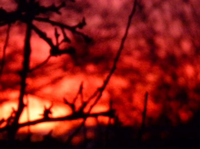 Monaghan Sunset  Photo:  © Evelyn Fisher