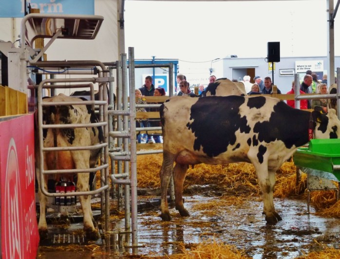 Lely robotic milking machine at Balmoral Show  Photo:  © Michael Fisher