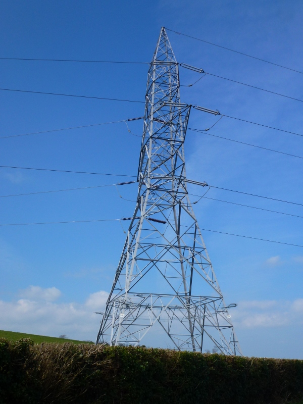 EirGrid pylon in County Louth  Photo:  © Michael Fisher 
