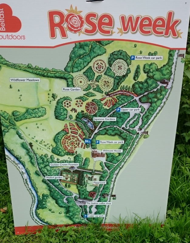 Belfast Rose Week in Lady Dixon Park Photo:  © Michael Fisher  