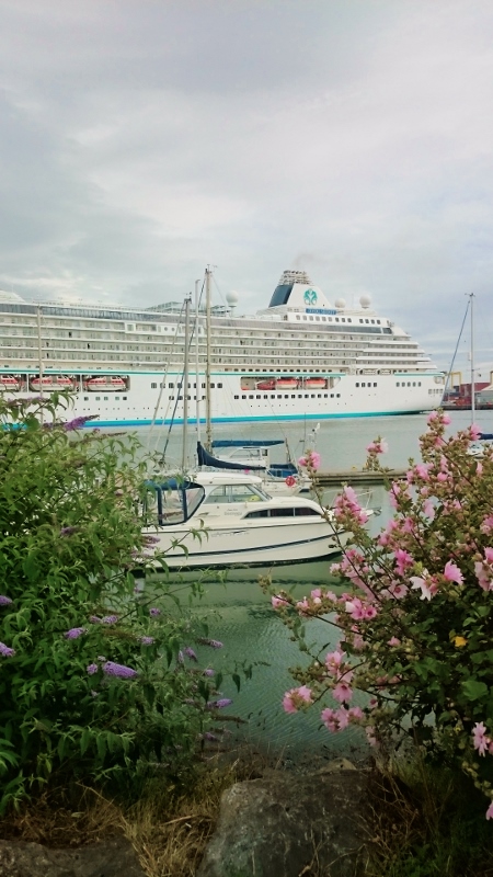 Crystal Serenity docking in Dublin  Photo:  © Michael Fisher  