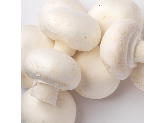 mushroomwhite.jpg